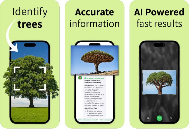 🧭 #应用限免 📂 软件名称：Tree Identifier 🍏 支持平台：#iOS 12.0+ 📊 软件价格：内购限免 🪟 软件简介：一款快速准确地识别树木的应用