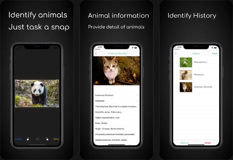 🧭 #应用限免 📂 软件名称： iAnimal：AI 动物识别  🍏 支持平台：#iOS 15.6+ 📊 软件价格：￥18.00 -> ¥0.00 🪟 软件简介：一款 AI 驱动的动物识别应用，支持即时识别 4000+ 种动物物种（昆虫、鸟类、蝴蝶、宠物、爬行动物、蜘蛛、鱼类等）