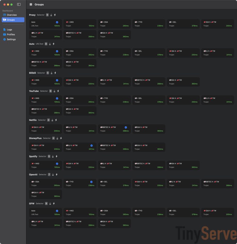 🆔  网站名称：TinyServe⭐  网站功能：sing-box分流规则📁  网站简介：某大佬做的Sing-Box的分流规则，提供了详细的配置参数示例