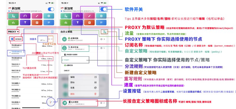 🧩 QuantumultX 使用教程：策略组&分流规则&自定义图标&过滤节点的进阶玩法🔗 点击打开